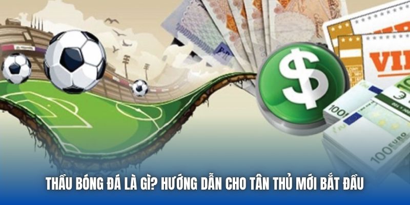 Thầu Bóng Đá Là Gì? Hướng Dẫn Cho Tân Thủ Mới Bắt Đầu